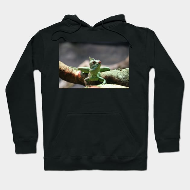 Double-Crested Basilisk Hoodie by LeanneAllen